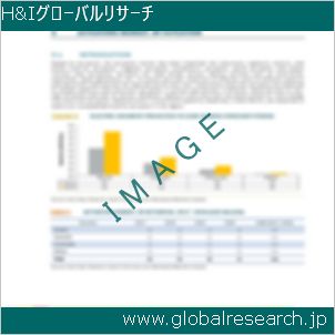 グローバルリサーチ調査レポートのイメージ